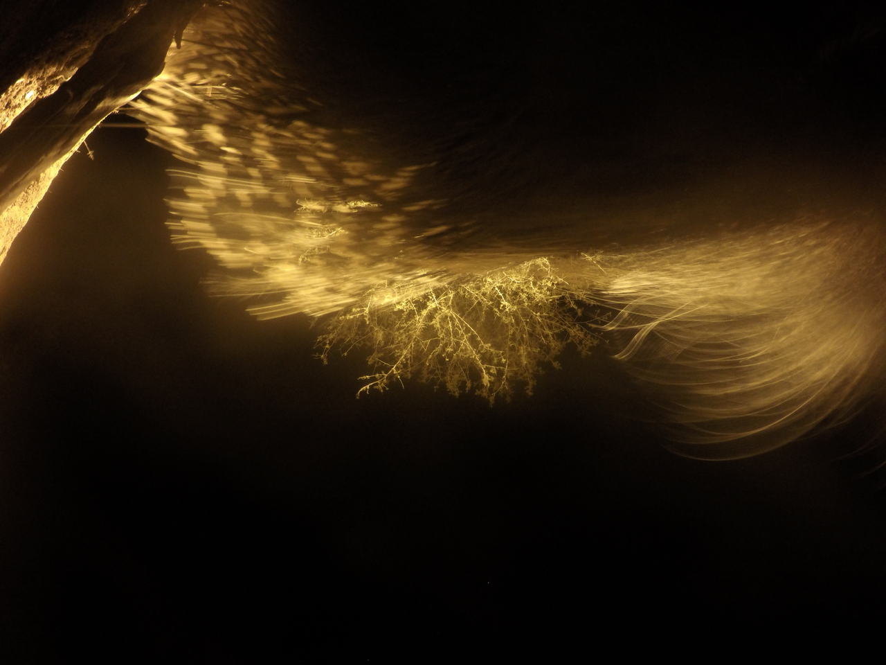 [12145] 2016_06_23_20_10_57_Africa_HERO4_Silver_IMG__04248.jpg