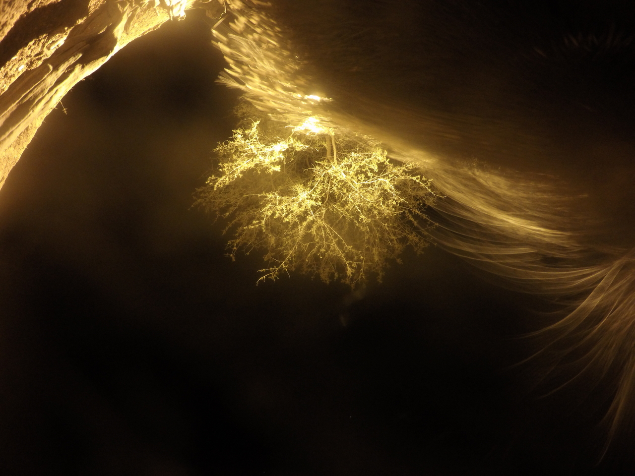 [12162] 2016_06_23_20_11_12_Africa_HERO4_Silver_IMG__00396.jpg