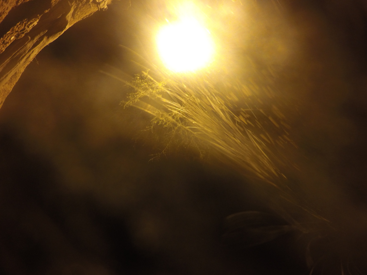 [12231] 2016_06_23_20_12_11_Africa_HERO4_Silver_IMG__00408.jpg