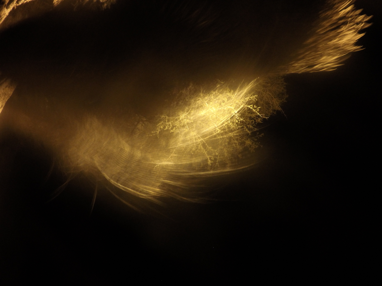 [12498] 2016_06_23_20_15_47_Africa_HERO4_Silver_IMG__04306.jpg