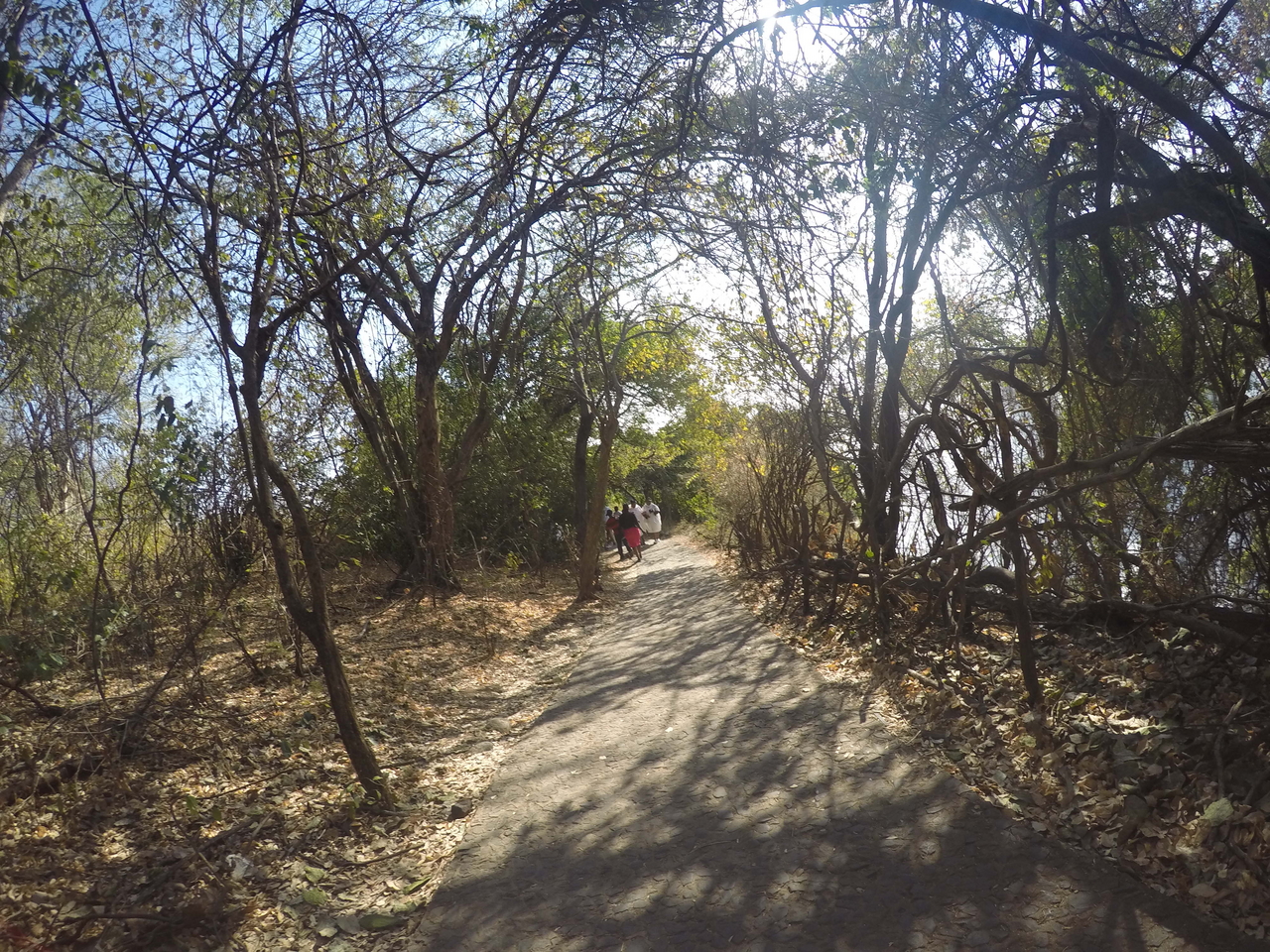 [32361] 2016_07_03_13_38_06_Africa_HERO4_Silver_IMG__04534.jpg