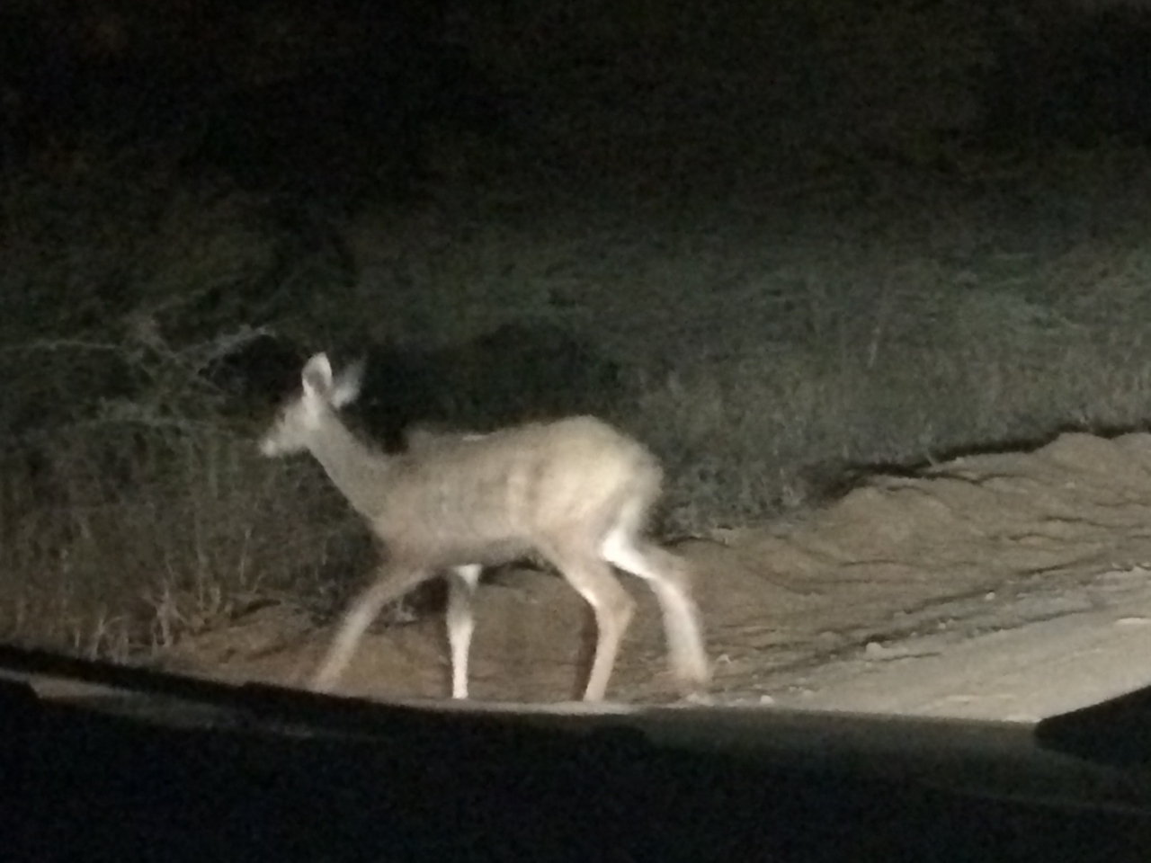 [247] 2016_06_21_13_13_13_Africa_iPhone_5s_IMG__05717.jpg