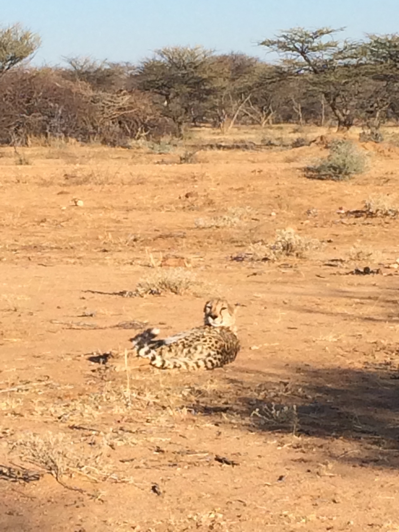 [930] 2016_06_22_02_48_52_Africa_iPhone_5s_IMG__00151.jpg