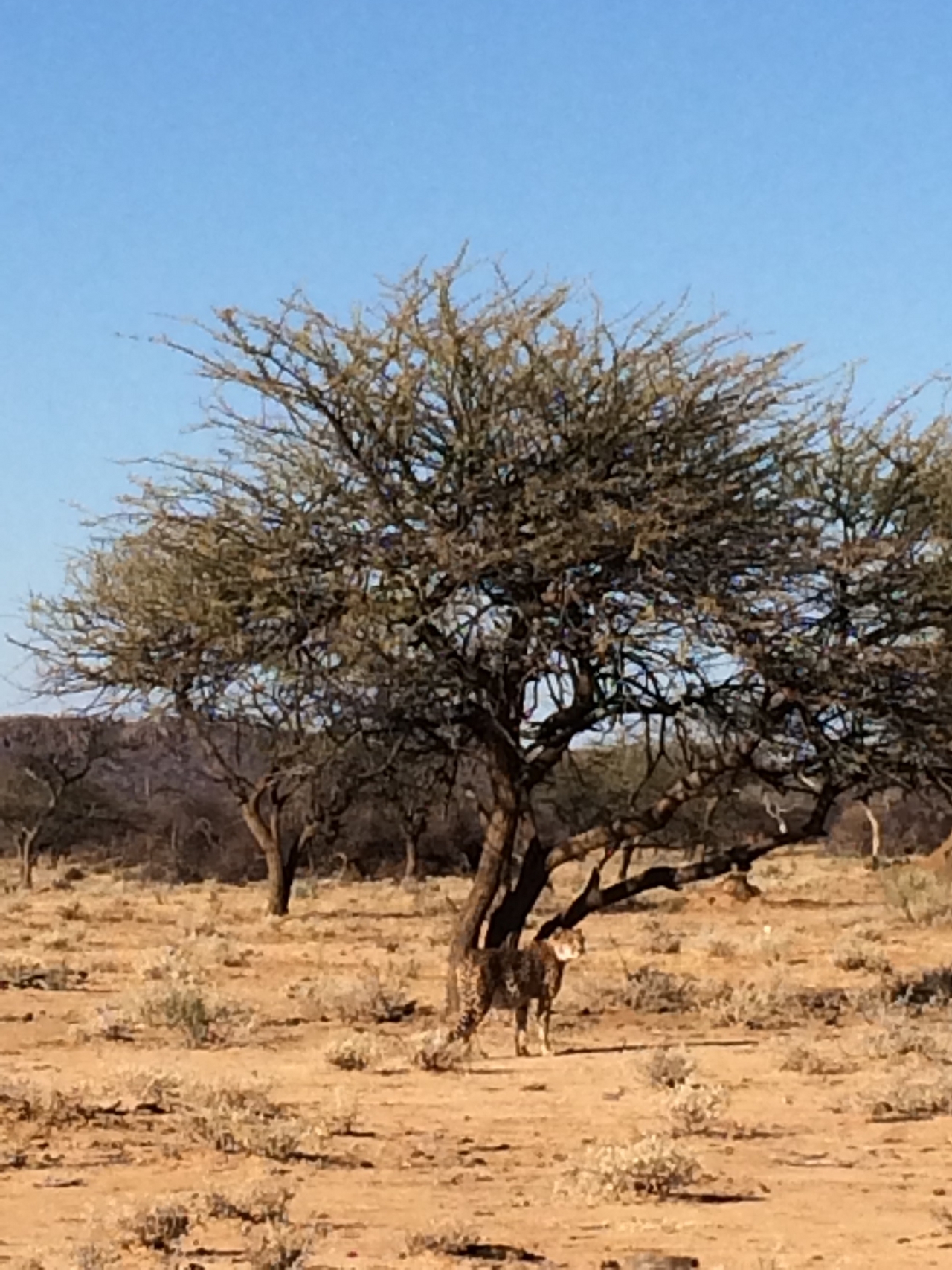 [1637] 2016_06_22_03_14_09_Africa_iPhone_5s_IMG_8059_00158.jpg