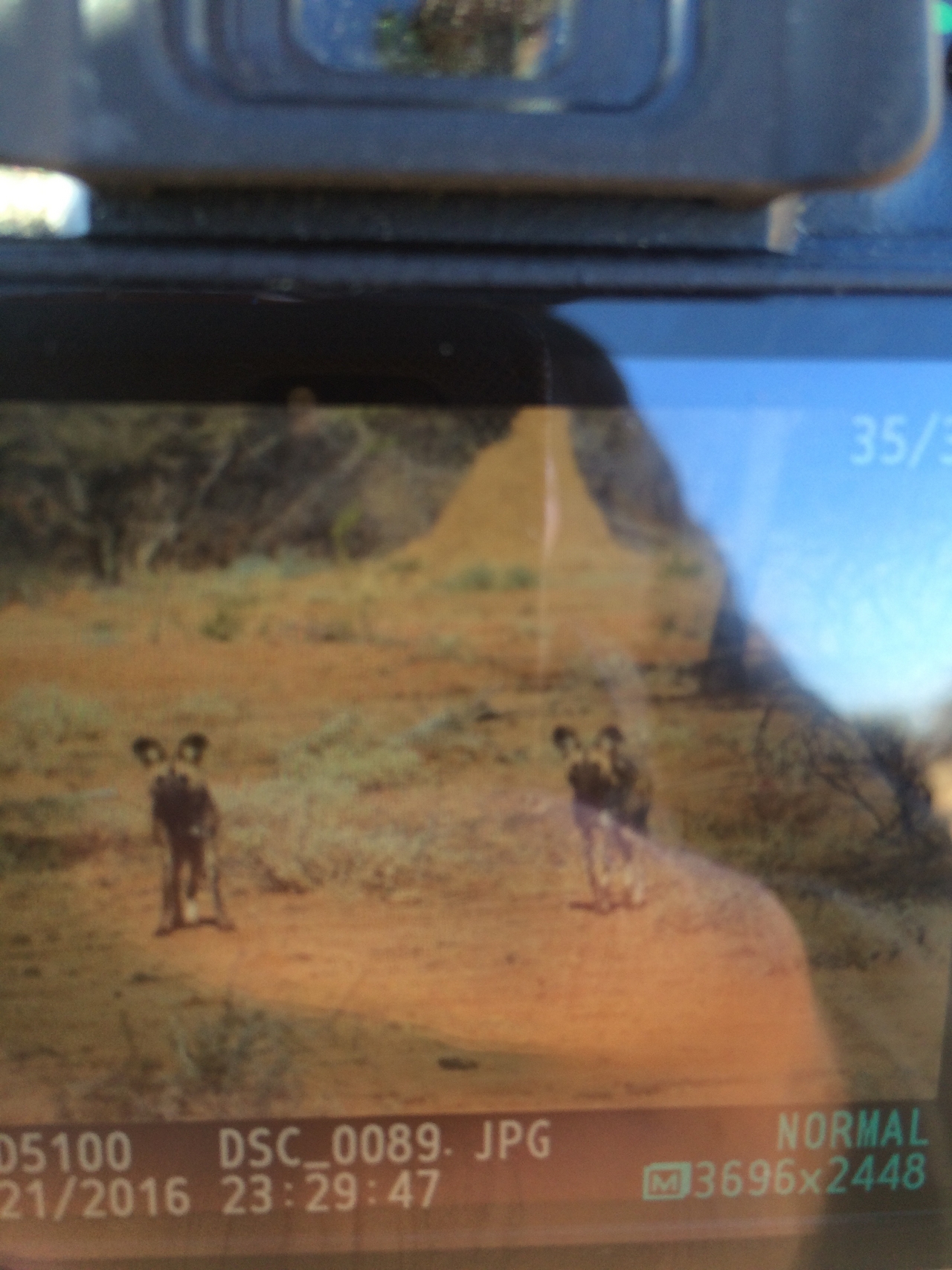 [1813] 2016_06_22_03_23_48_Africa_iPhone_5s_IMG__05775.jpg