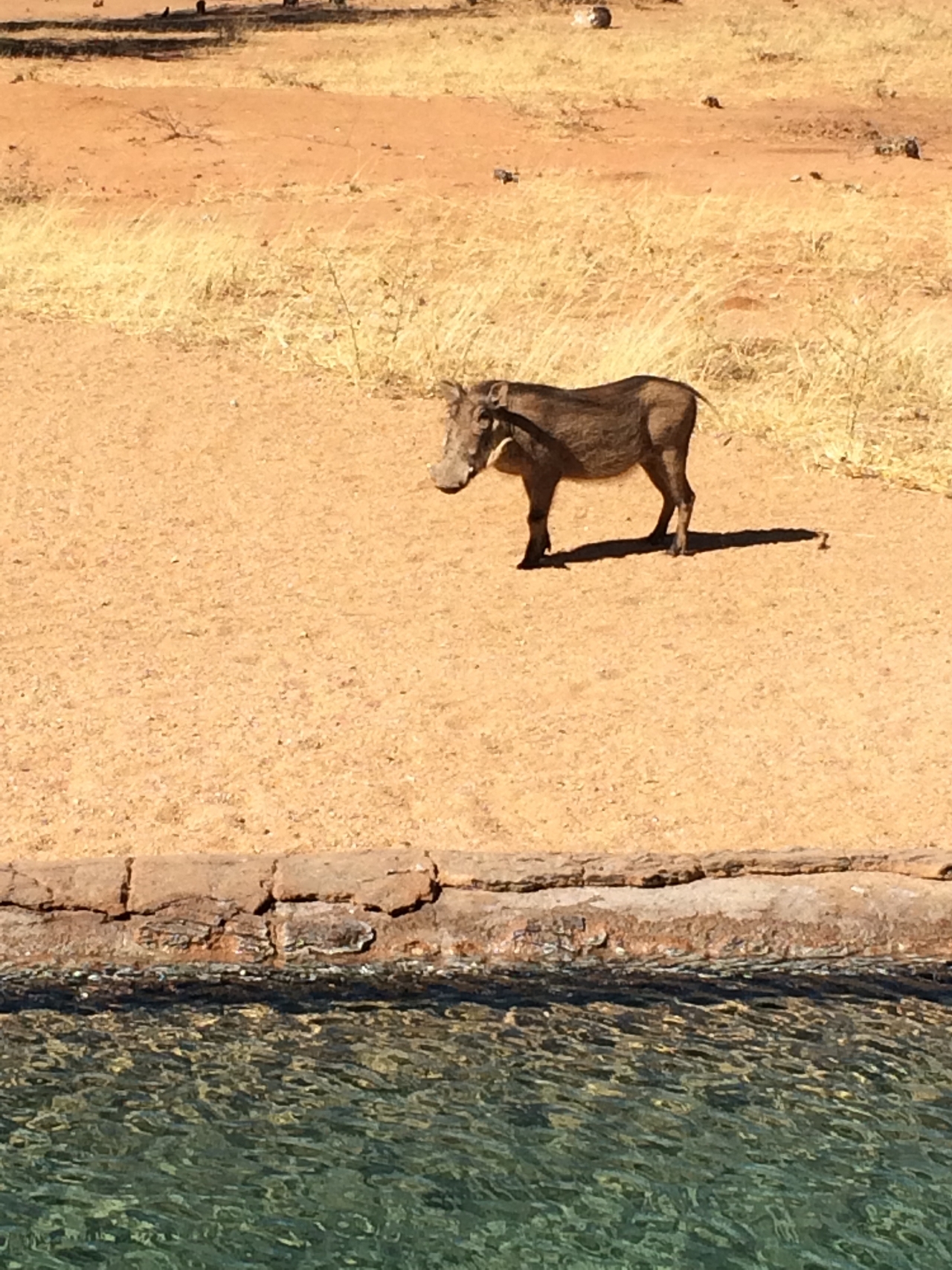 [2159] 2016_06_22_05_53_20_Africa_iPhone_5s_IMG_8068_05790.jpg