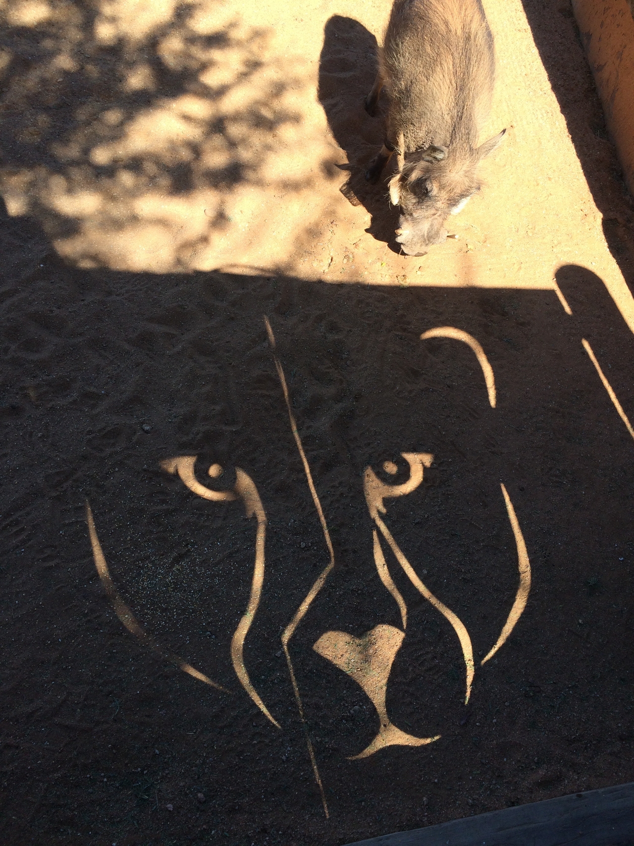 [2188] 2016_06_22_06_00_23_Africa_iPhone_5s_IMG_8075_00190.jpg