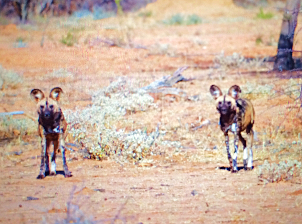 [2229] 2016_06_22_07_06_09_Africa_iPhone_5s_IMG__00205.jpg