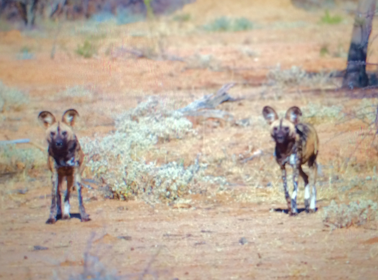 [2230] 2016_06_22_07_06_09_Africa_iPhone_5s_IMG__05817.jpg