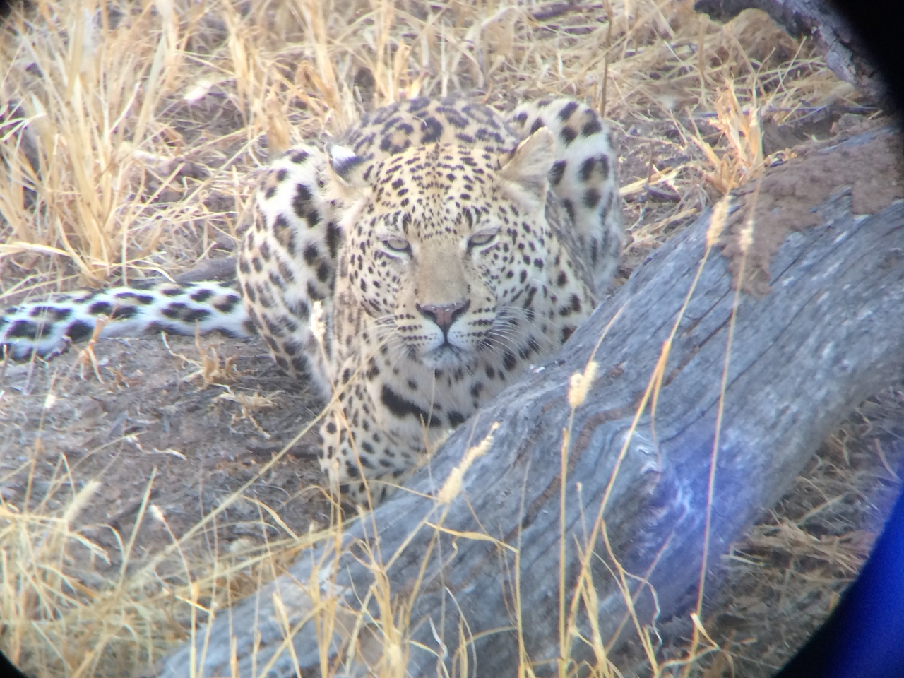 [3092] 2016_06_22_11_22_42_Africa_iPhone_5s_IMG_8100_00220.jpg