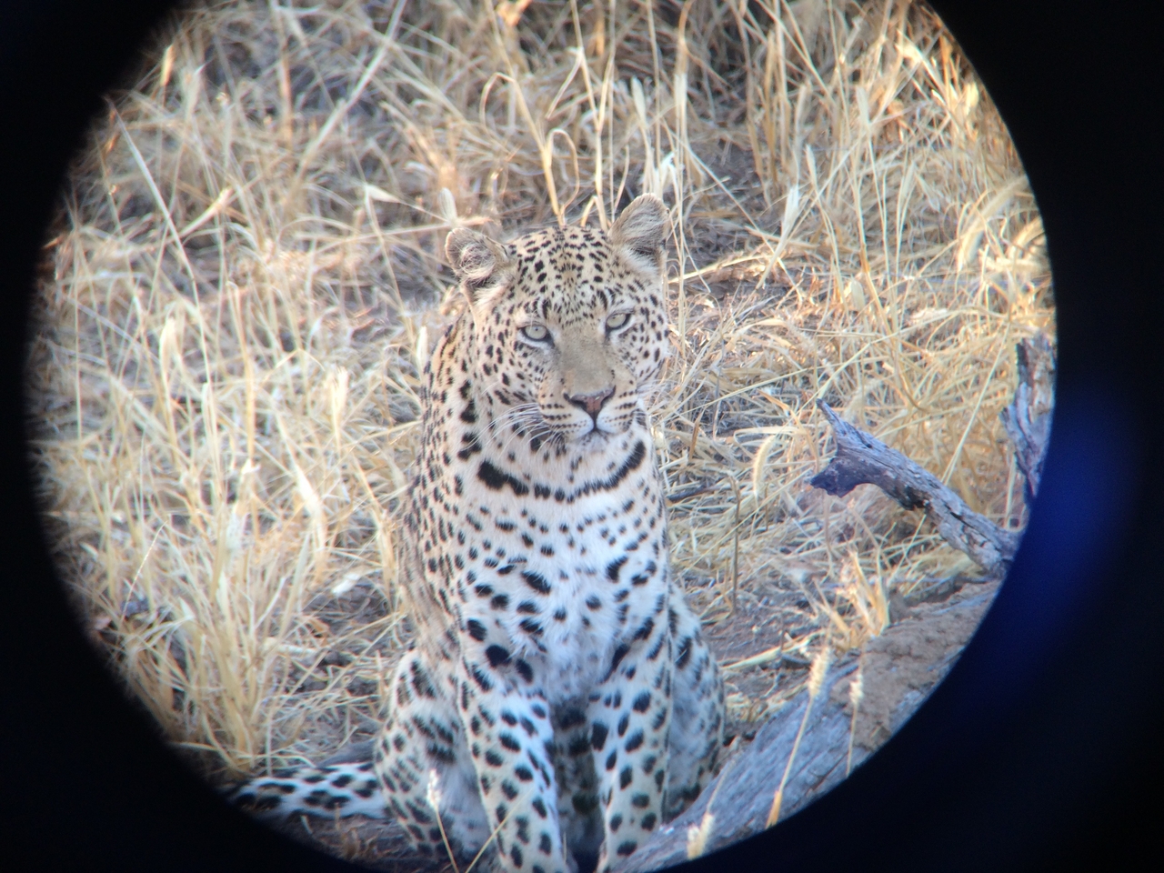 [3207] 2016_06_22_11_23_29_Africa_iPhone_5s_IMG__05837.jpg