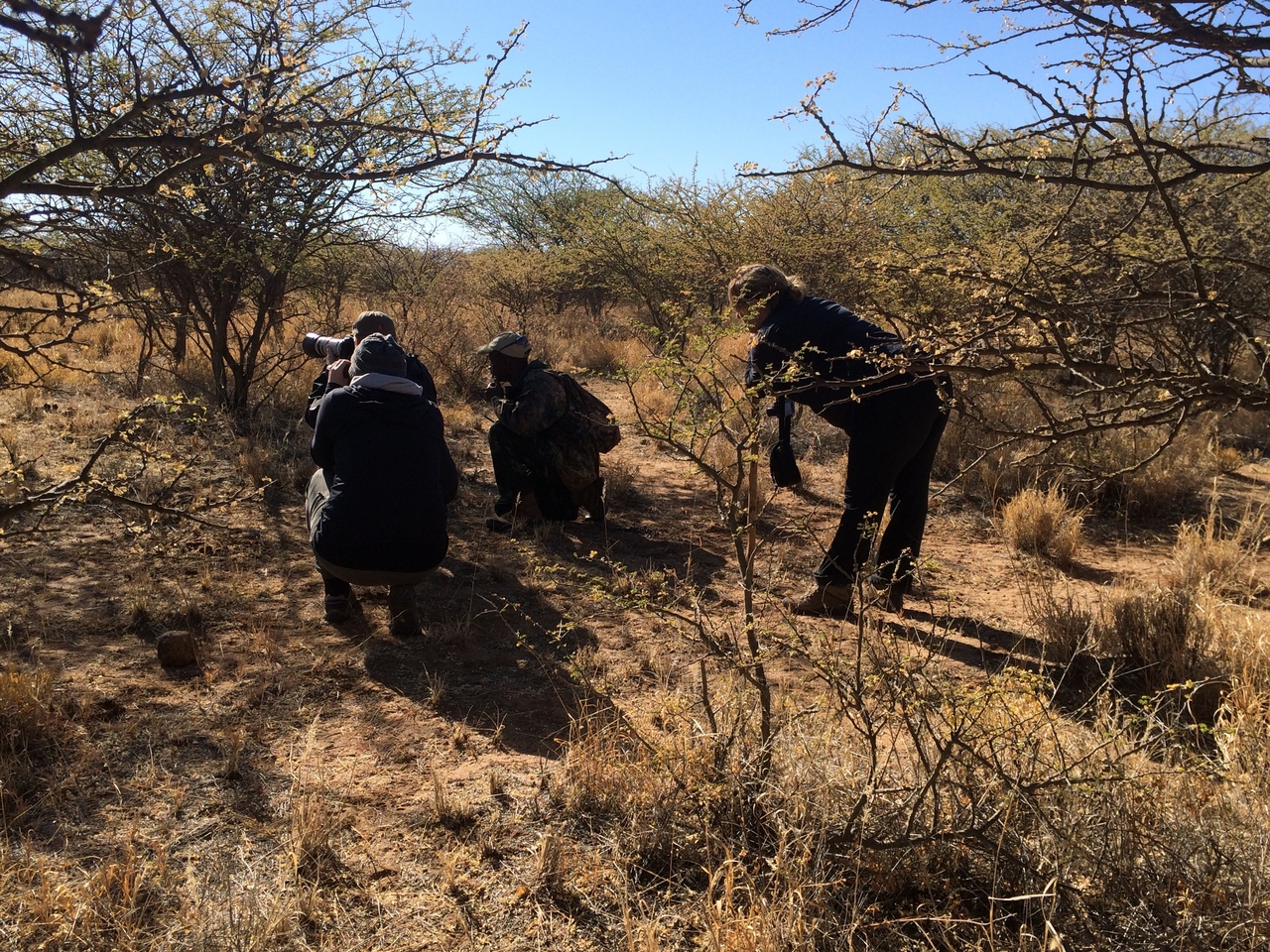 [4634] 2016_06_23_04_17_36_Africa_iPhone_5s_IMG_8148_05870.jpg