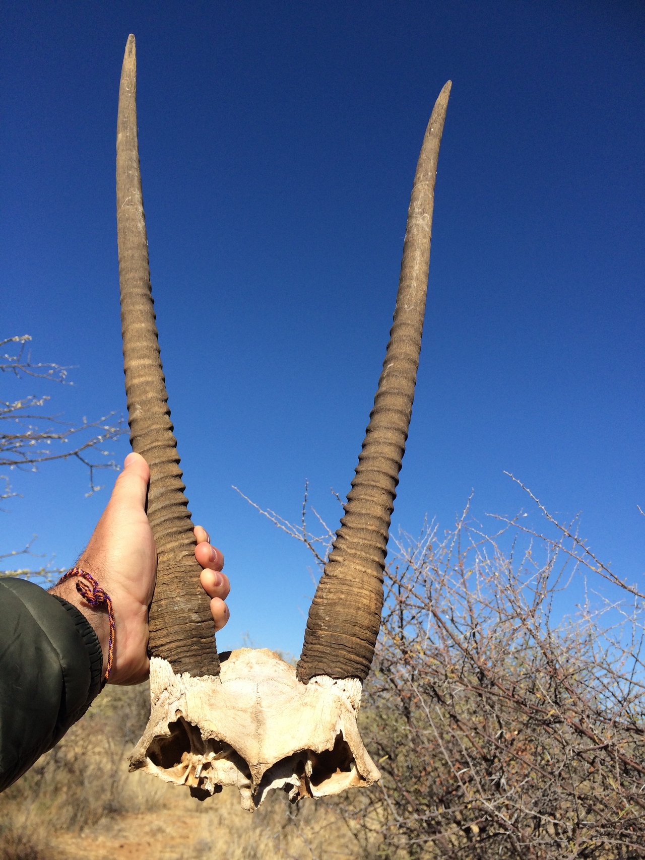 [4746] 2016_06_23_04_23_24_Africa_iPhone_5s_IMG__05887.jpg