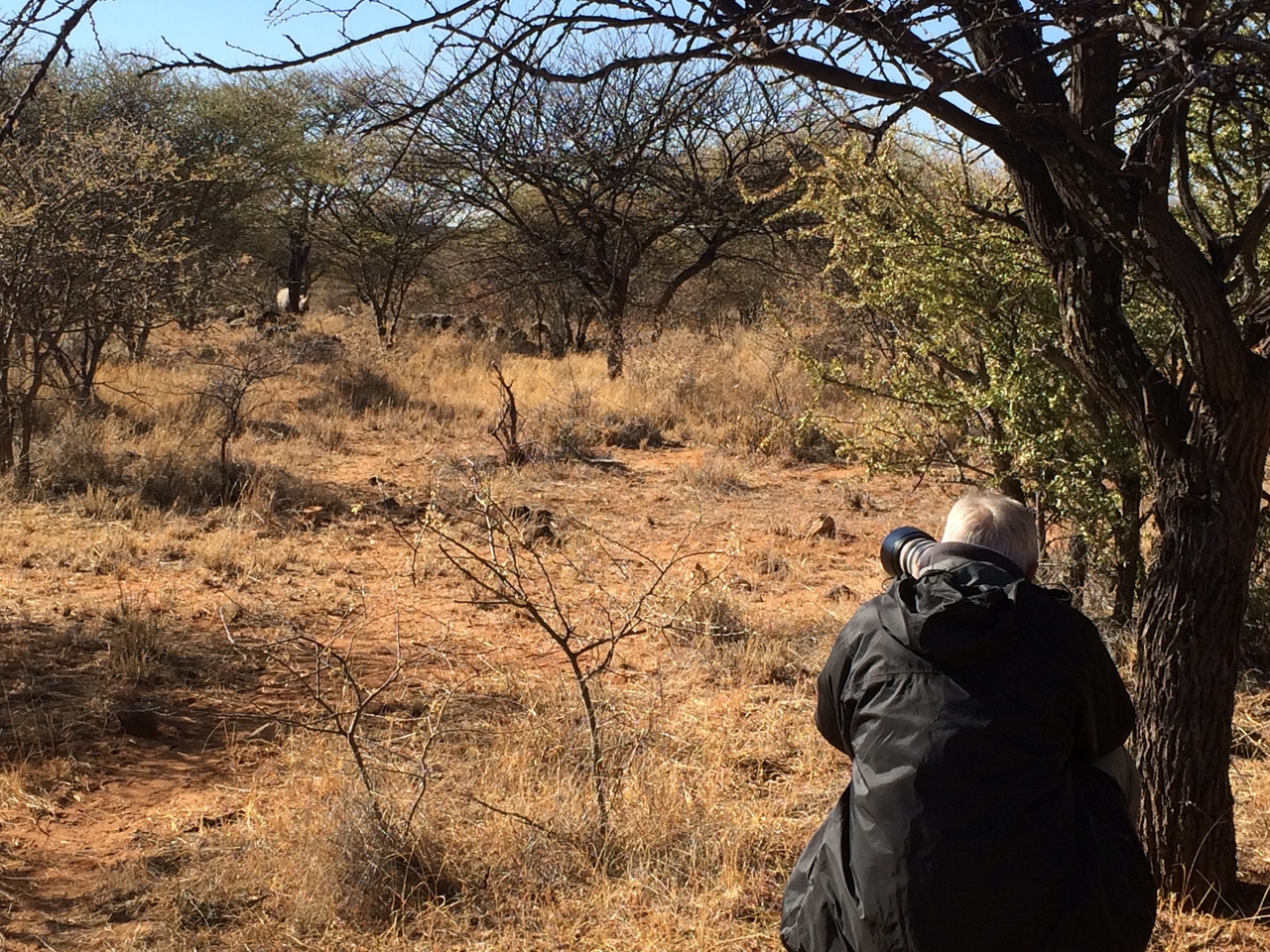 [4881] 2016_06_23_04_24_58_Africa_iPhone_5s_IMG_8158_05890.jpg