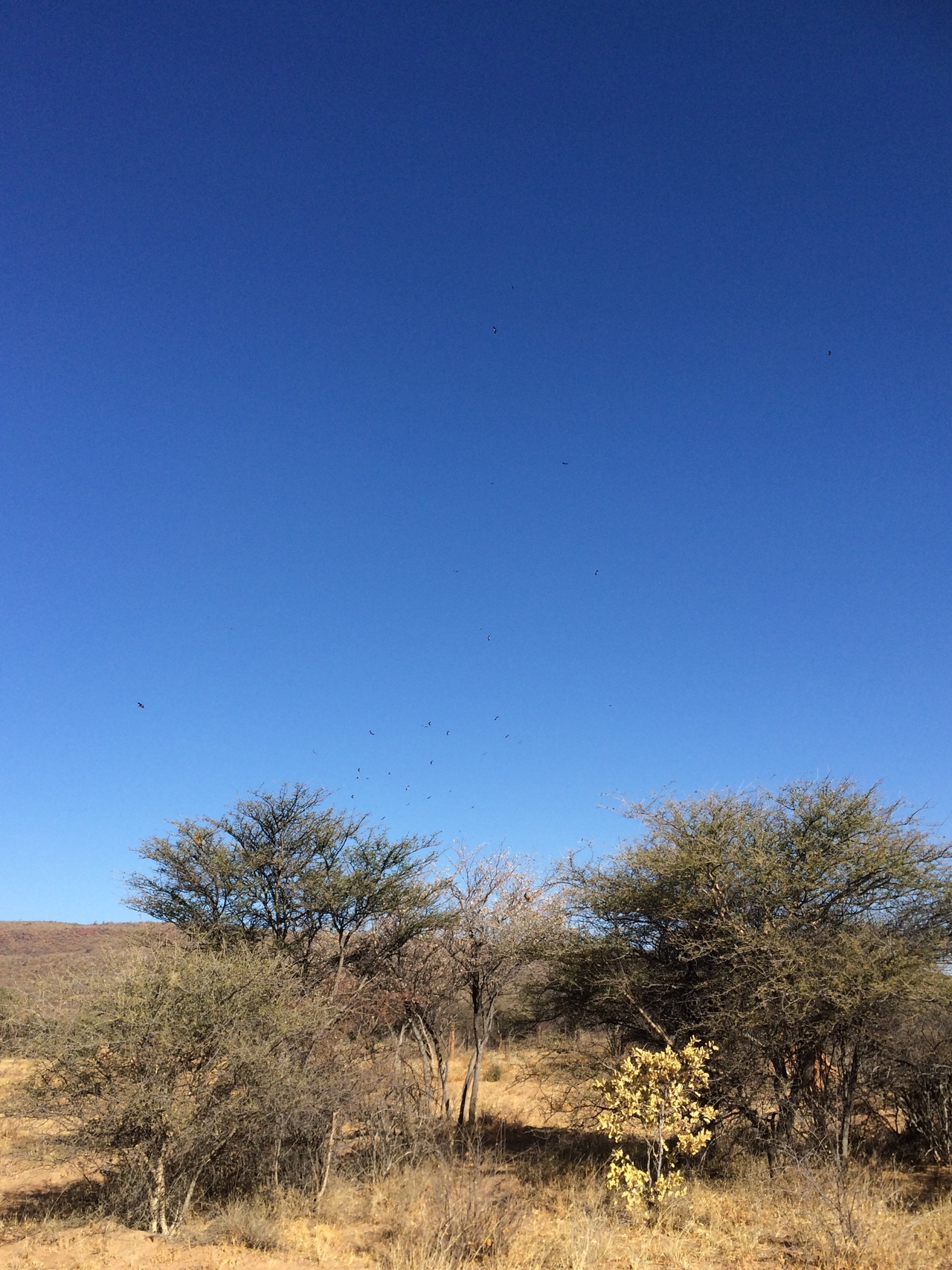 [5369] 2016_06_23_09_56_51_Africa_iPhone_5s_IMG__05911.jpg