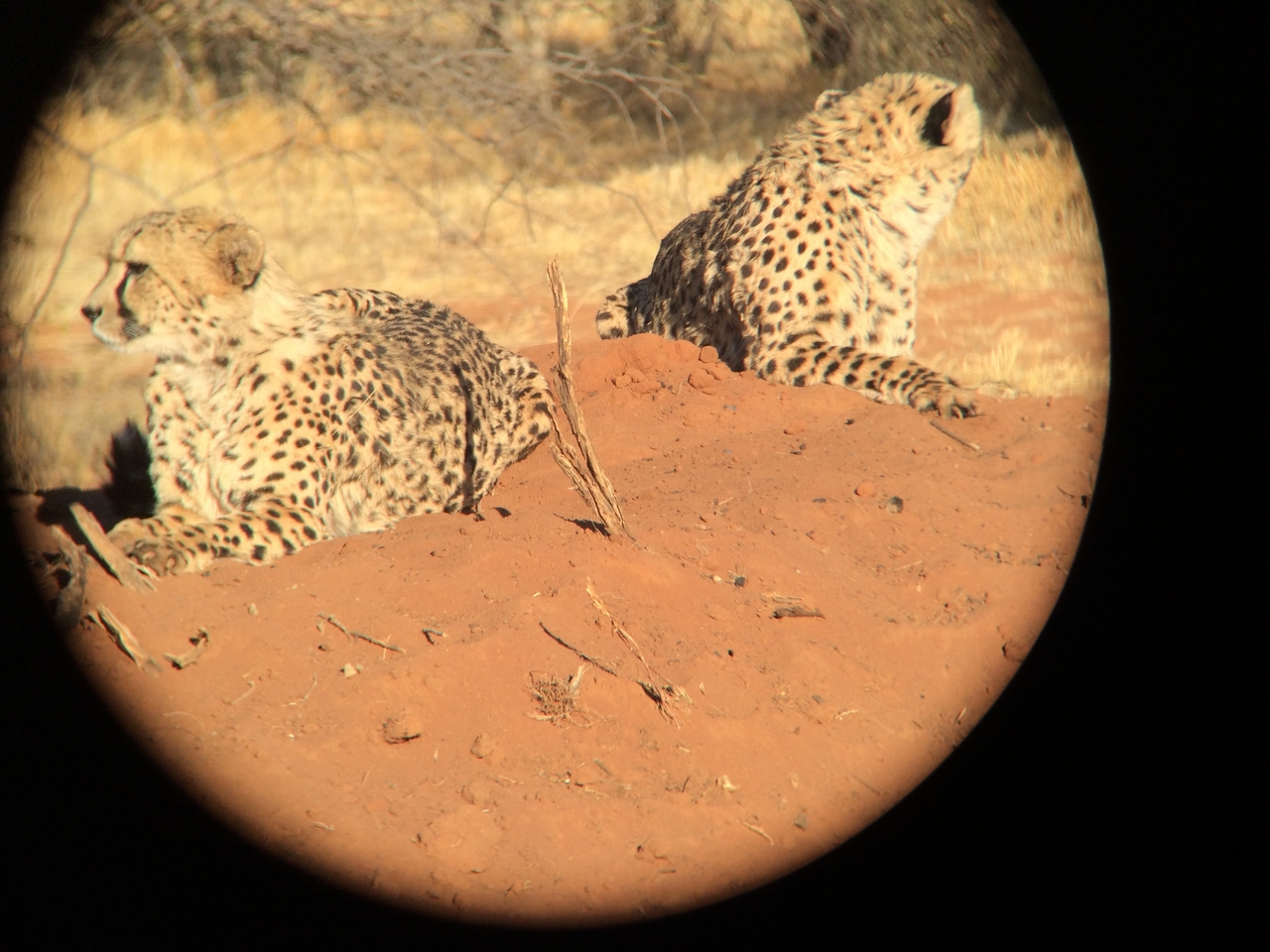 [6511] 2016_06_23_10_53_58_Africa_iPhone_5s_IMG__00331.jpg