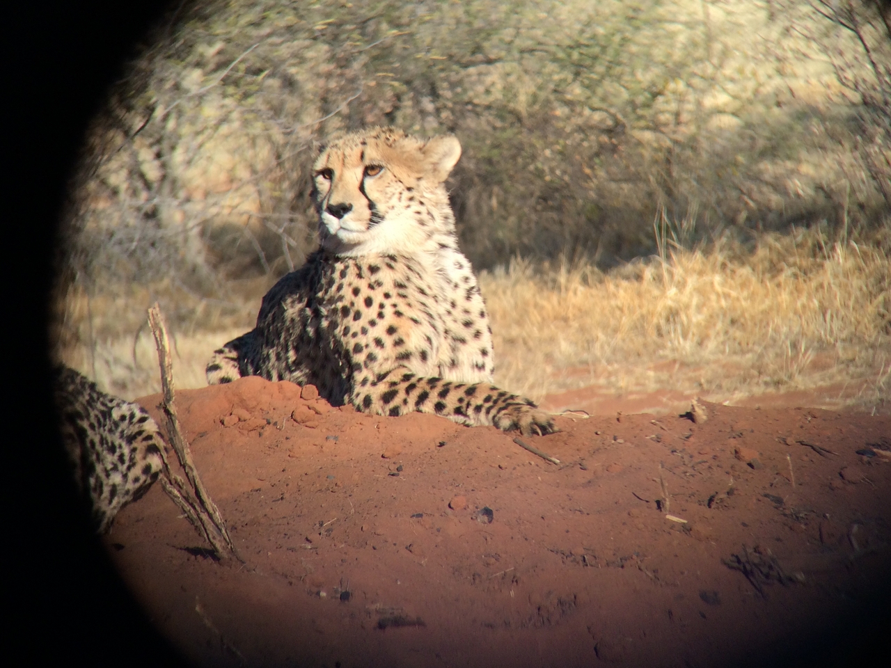 [6571] 2016_06_23_10_54_49_Africa_iPhone_5s_IMG_8191_05946.jpg