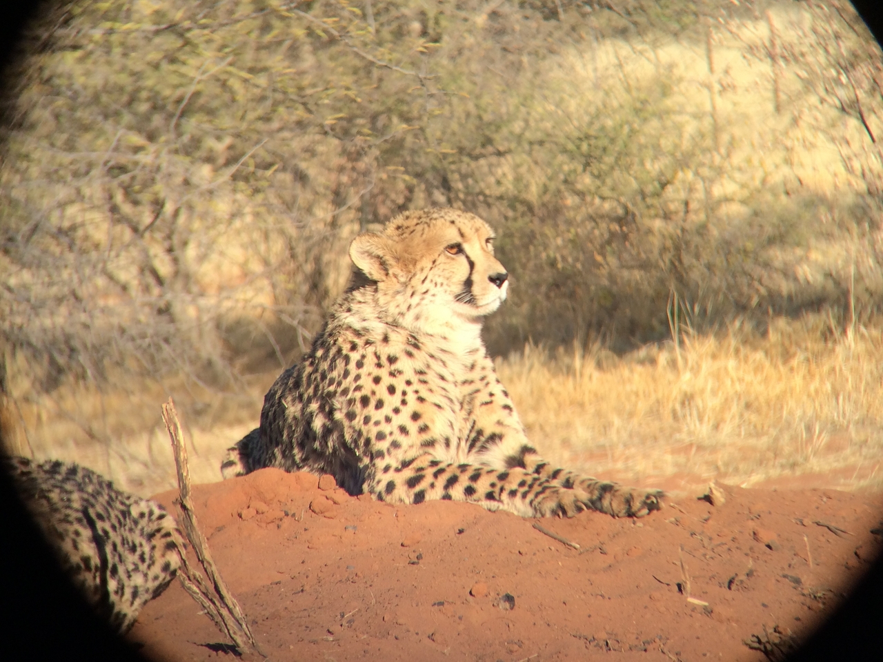 [6612] 2016_06_23_10_55_40_Africa_iPhone_5s_IMG_8195_00338.jpg