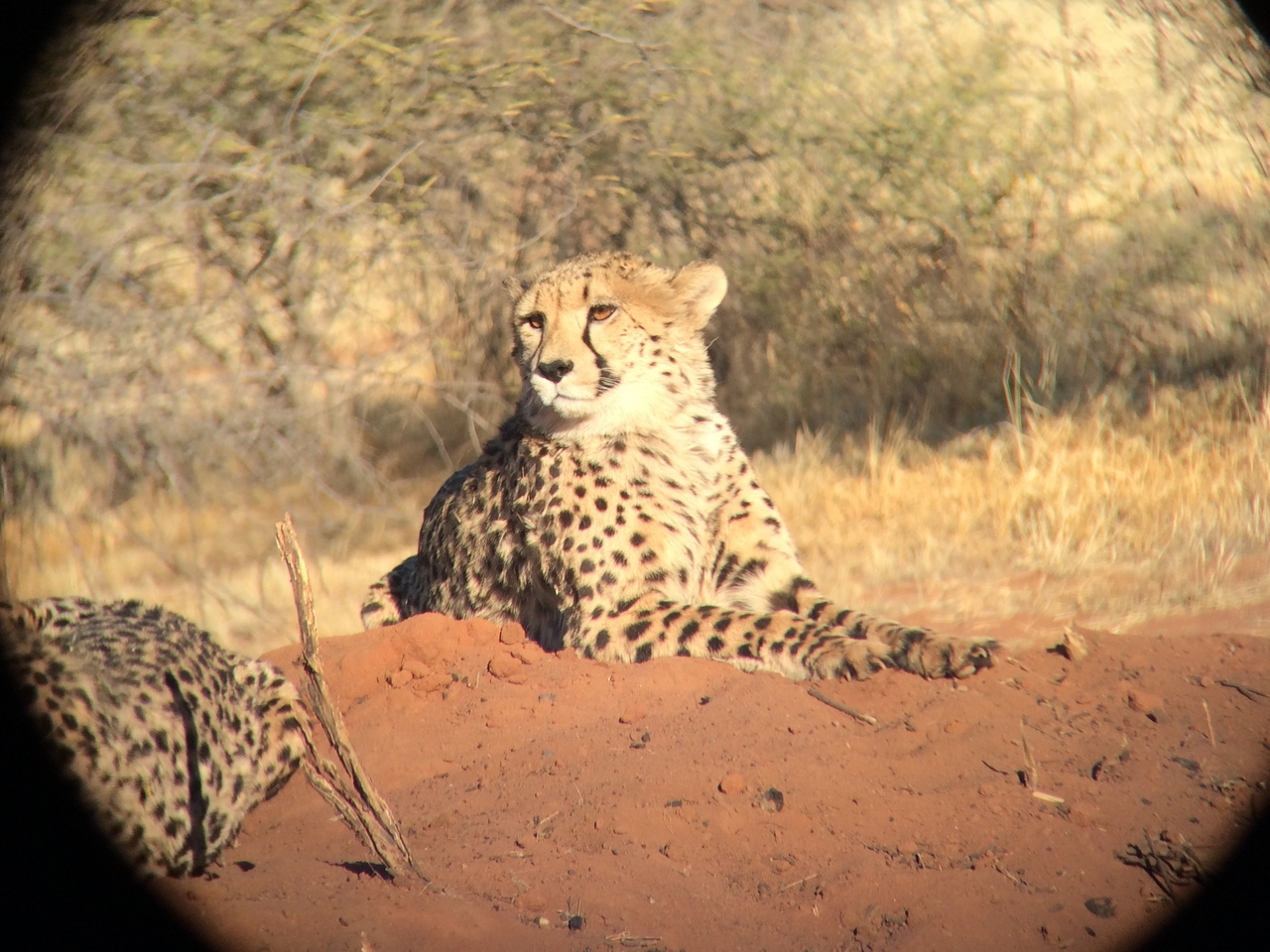 [6638] 2016_06_23_10_55_55_Africa_iPhone_5s_IMG__05957.jpg