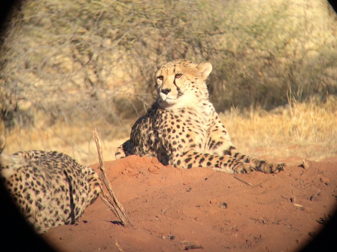 [6641] 2016_06_23_10_55_58_Africa_iPhone_5s_IMG__00345.jpg