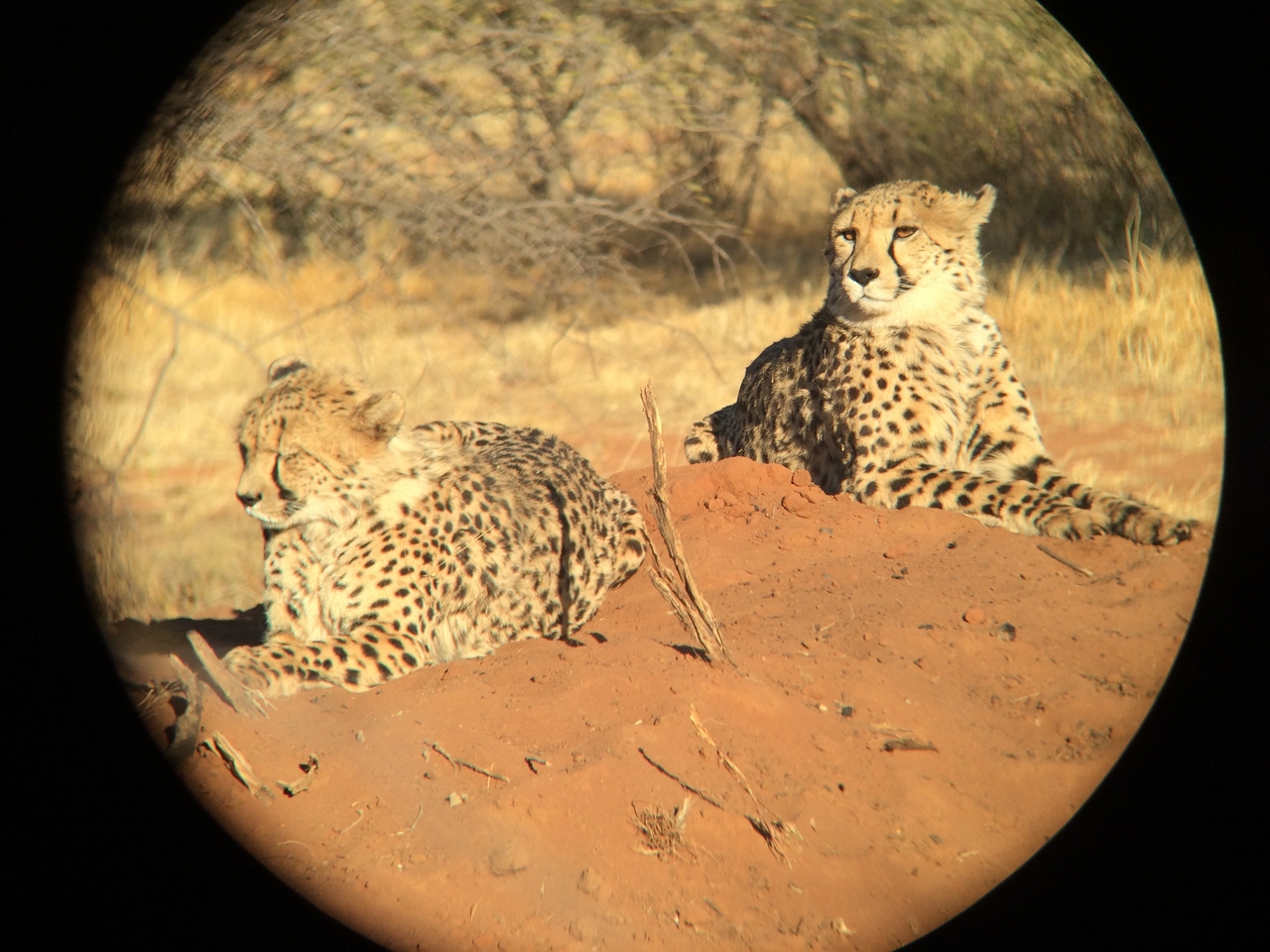 [6838] 2016_06_23_11_00_37_Africa_iPhone_5s_IMG_8207_00352.jpg