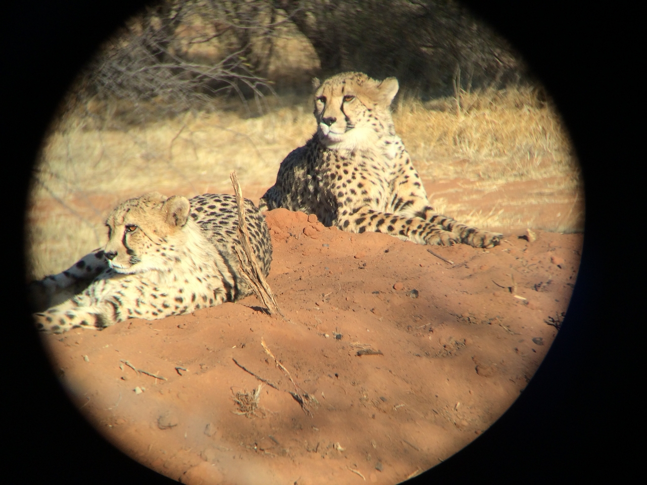 [6975] 2016_06_23_11_07_16_Africa_iPhone_5s_IMG_8209_00356.jpg