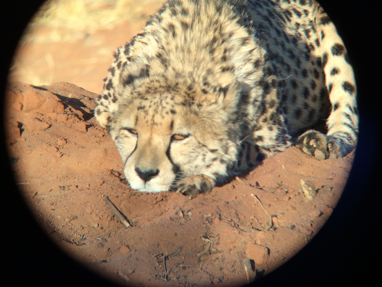 [7109] 2016_06_23_11_14_17_Africa_iPhone_5s_IMG__00369.jpg