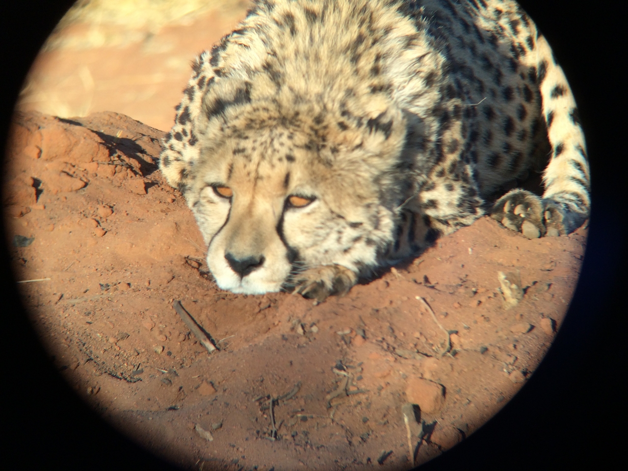 [7113] 2016_06_23_11_14_25_Africa_iPhone_5s_IMG__00371.jpg