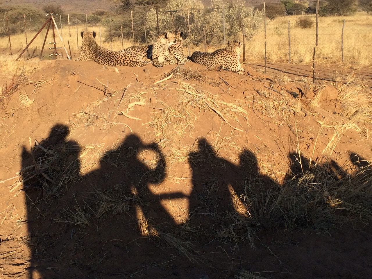 [7162] 2016_06_23_11_20_39_Africa_iPhone_5s_IMG_8223_00382.jpg