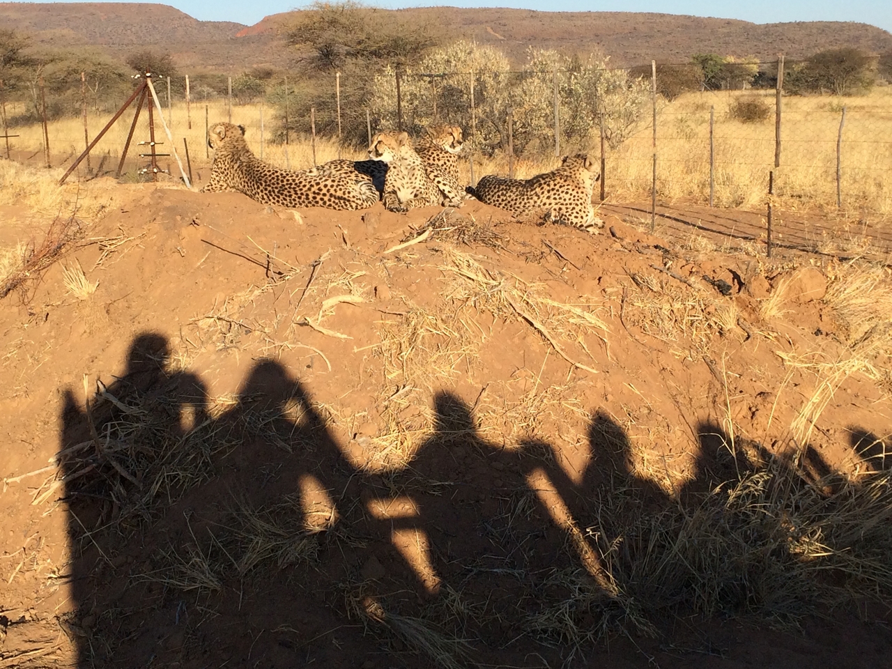 [7212] 2016_06_23_11_21_22_Africa_iPhone_5s_IMG_8224_05998.jpg