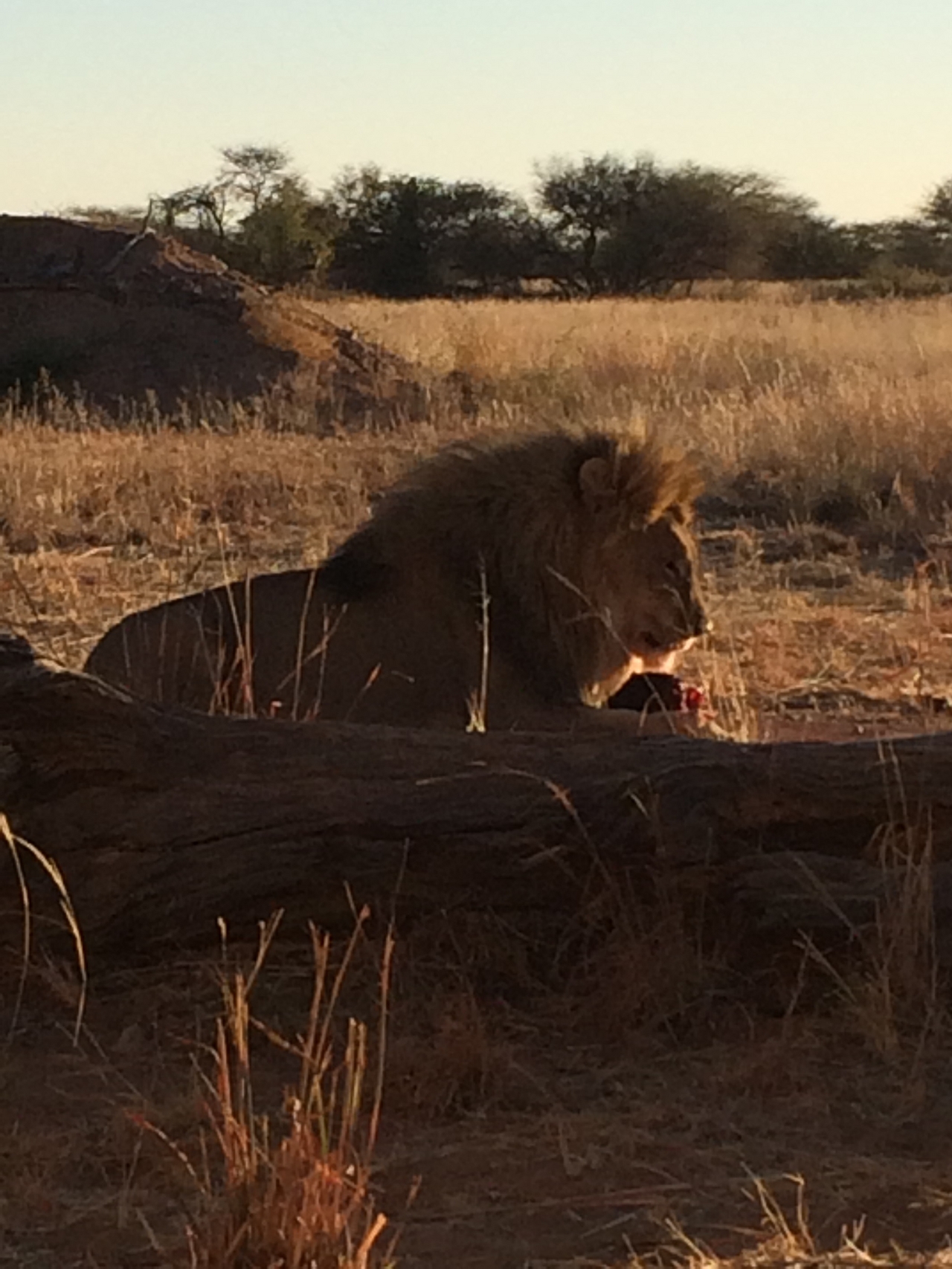 [7495] 2016_06_23_11_41_00_Africa_iPhone_5s_IMG_8229_00388.jpg