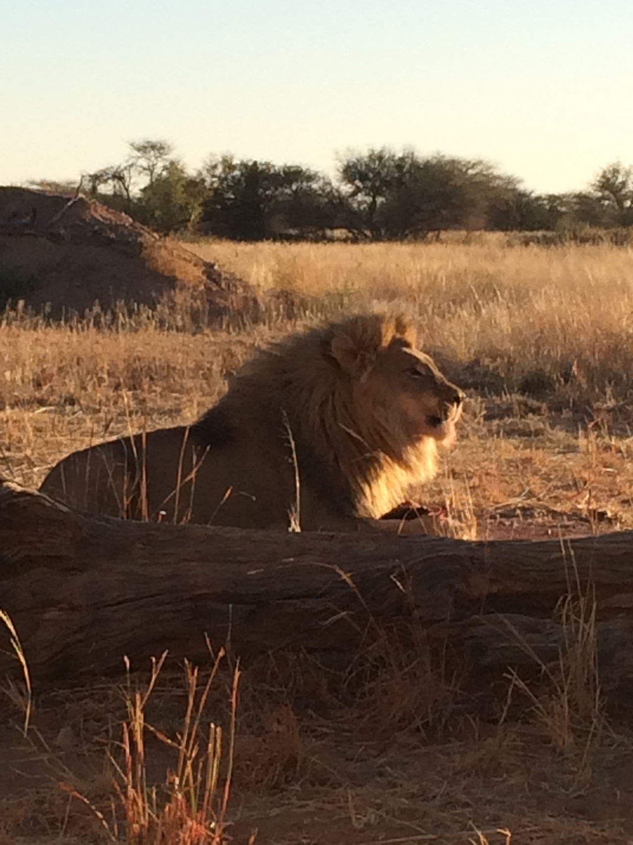 [7505] 2016_06_23_11_41_08_Africa_iPhone_5s_IMG_8230_00390.jpg