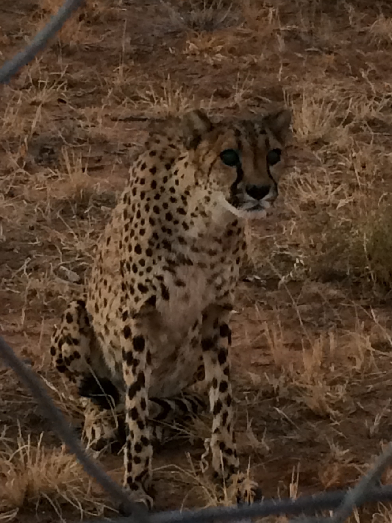 [8945] 2016_06_23_12_28_30_Africa_iPhone_5s_IMG_8258_06042.jpg