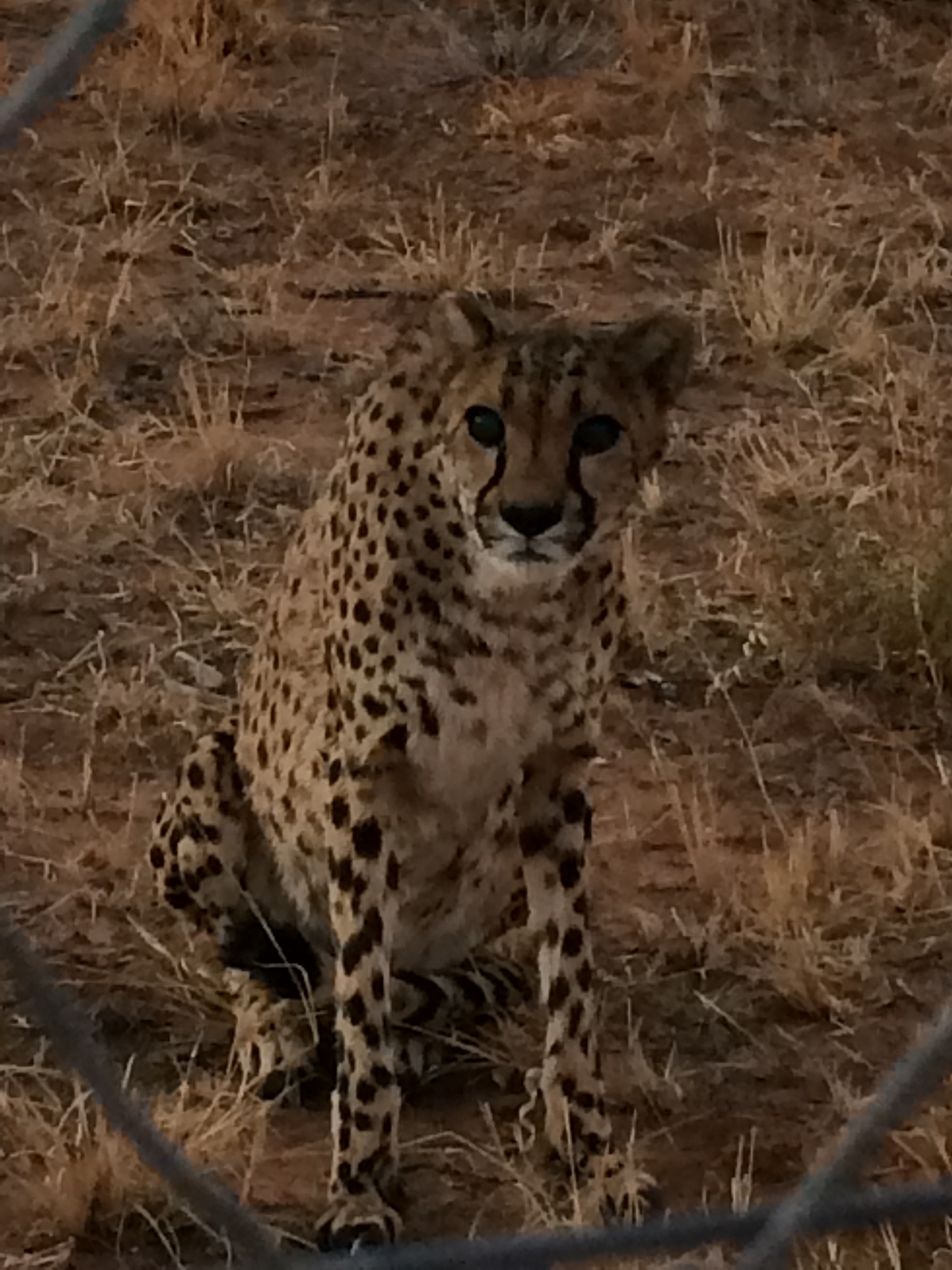 [8948] 2016_06_23_12_28_31_Africa_iPhone_5s_IMG_8259_00430.jpg