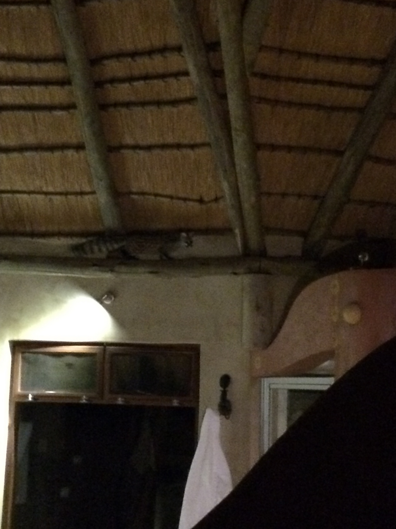 [9582] 2016_06_23_17_52_22_Africa_iPhone_5s_IMG_8271_00452.jpg