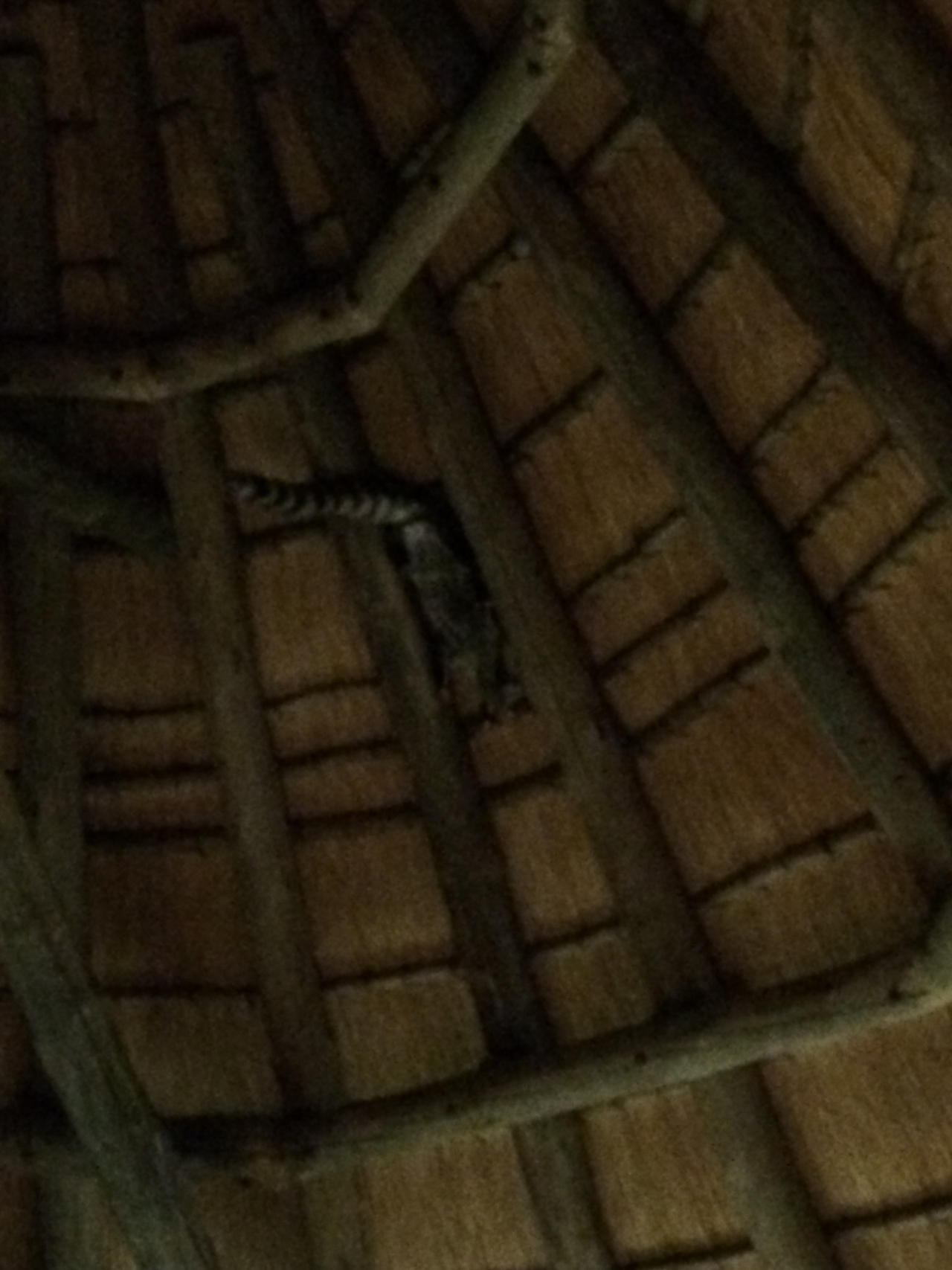 [9608] 2016_06_23_17_53_57_Africa_iPhone_5s_IMG__00465.jpg