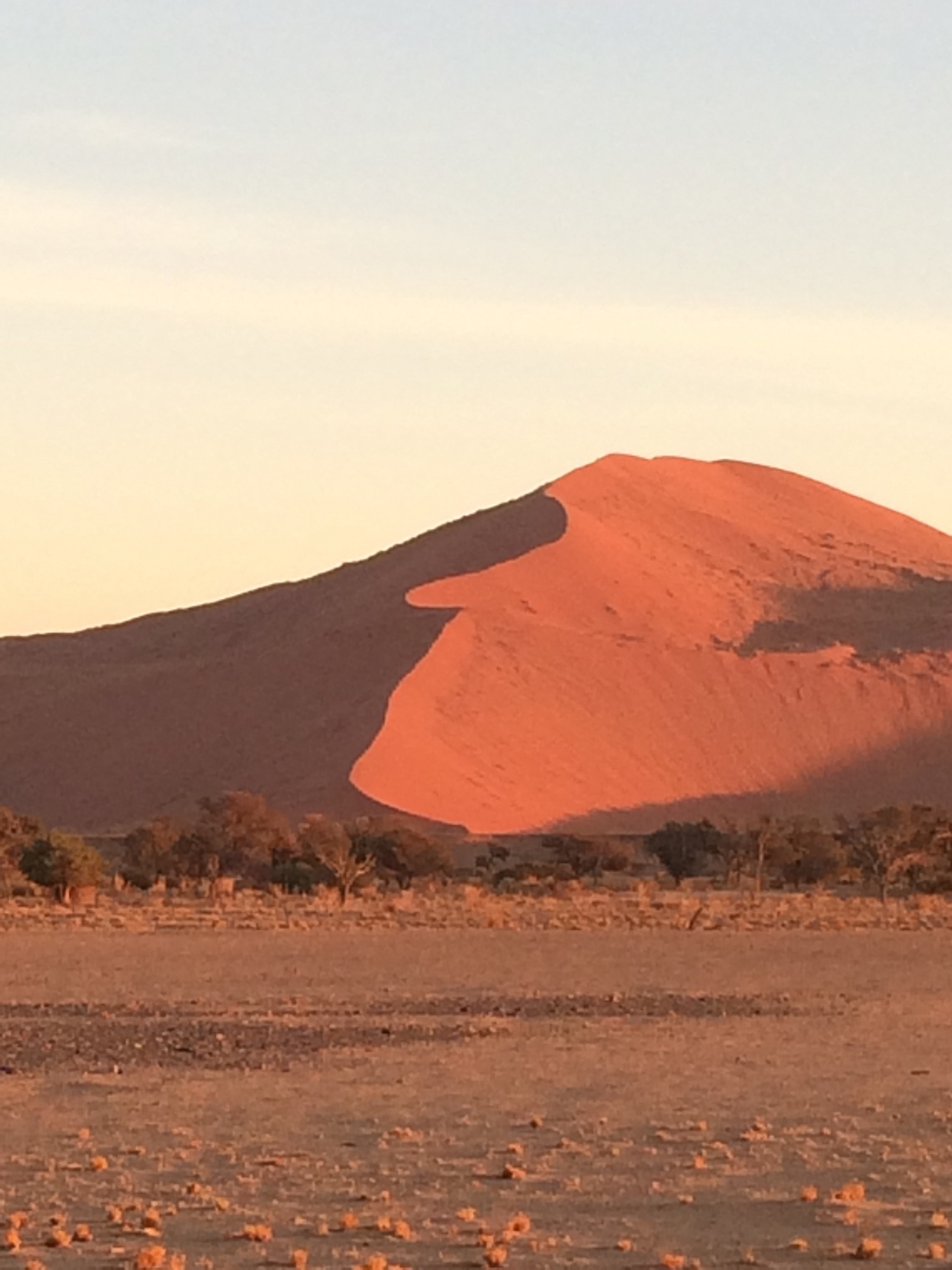 [14622] 2016_06_25_01_51_14_Africa_iPhone_5s_IMG_8302_06120.jpg