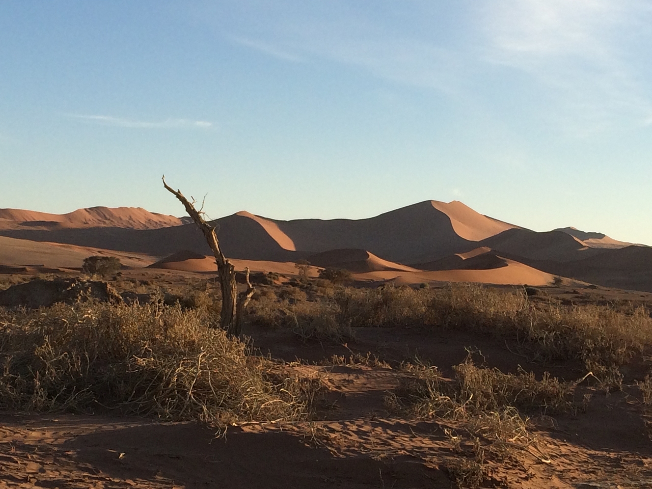 [14688] 2016_06_25_02_20_51_Africa_iPhone_5s_IMG_8305_06126.jpg