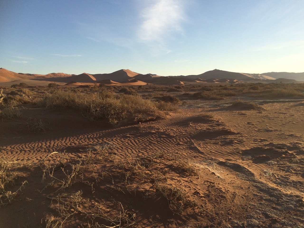 [14713] 2016_06_25_02_21_57_Africa_iPhone_5s_IMG_8306_06128.jpg