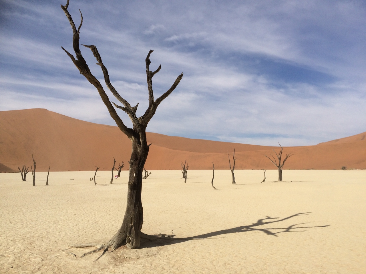 [15358] 2016_06_25_05_07_45_Africa_iPhone_5s_IMG_8354_00556.jpg