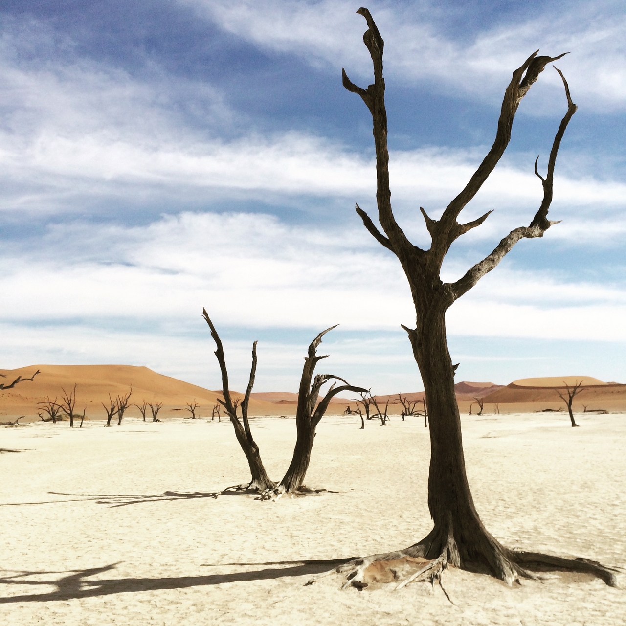 [15369] 2016_06_25_05_22_00_Africa_iPhone_5s_IMG_8399_06246.jpg