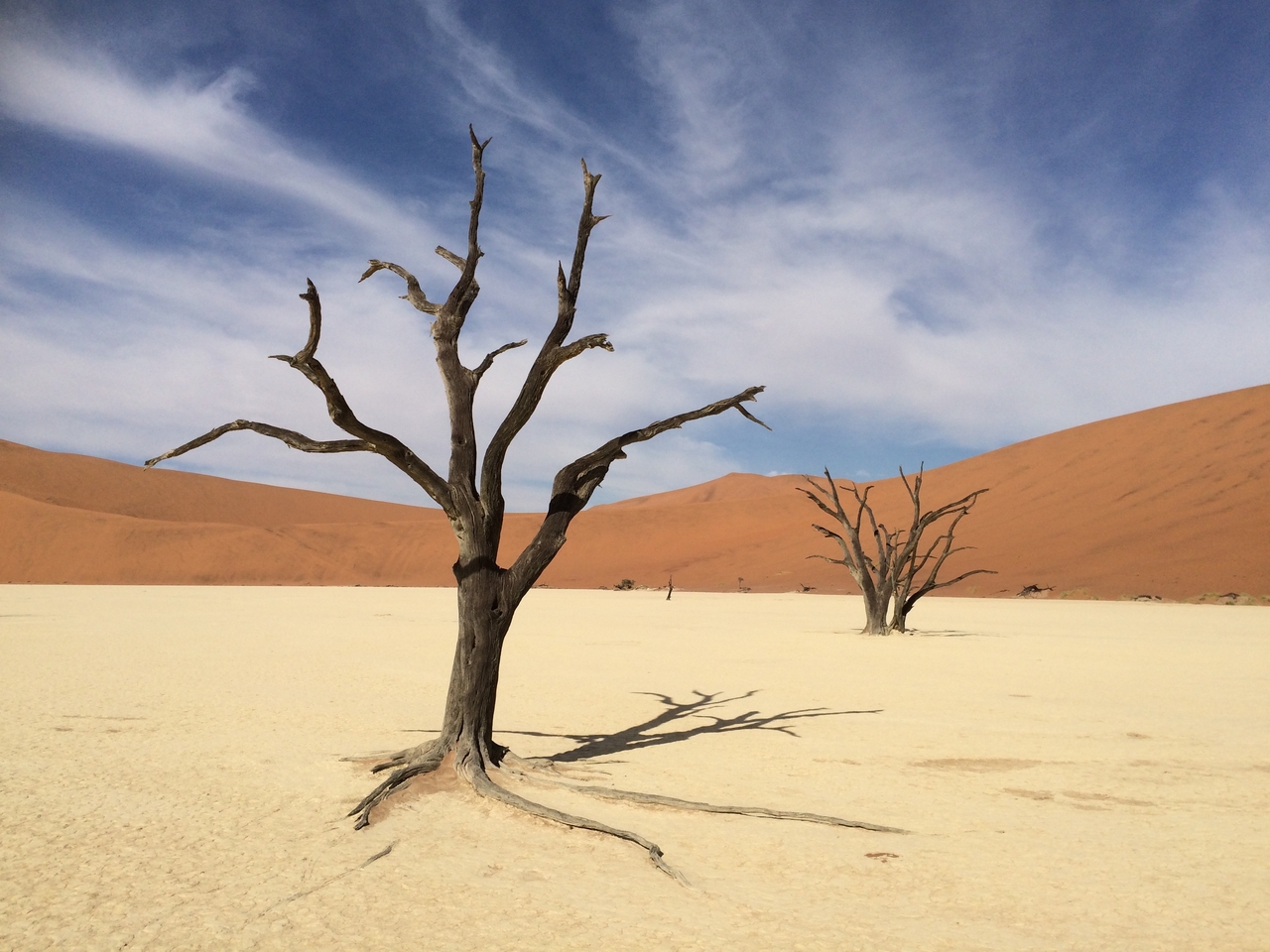 [15375] 2016_06_25_05_22_42_Africa_iPhone_5s_IMG_8357_06176.jpg