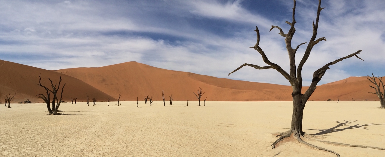 [15383] 2016_06_25_05_23_26_Africa_iPhone_5s_IMG_8359_06180.jpg