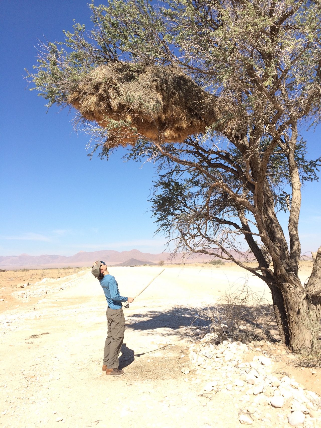 [16392] 2016_06_26_06_17_41_Africa_iPhone_5s_IMG_8389_00612.jpg