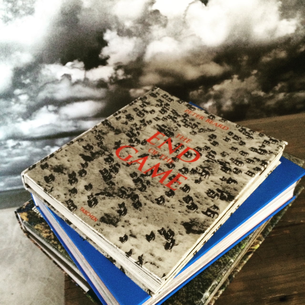 [16448] 2016_06_26_09_43_52_Africa_iPhone_5s_IMG__00645.jpg