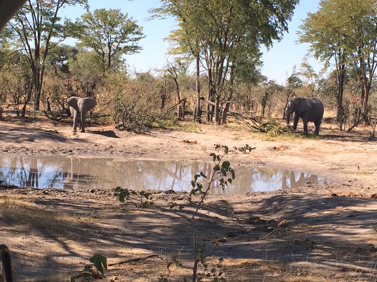 [16815] 2016_06_27_07_51_35_Africa_iPhone_5s_IMG_8440_06318.jpg