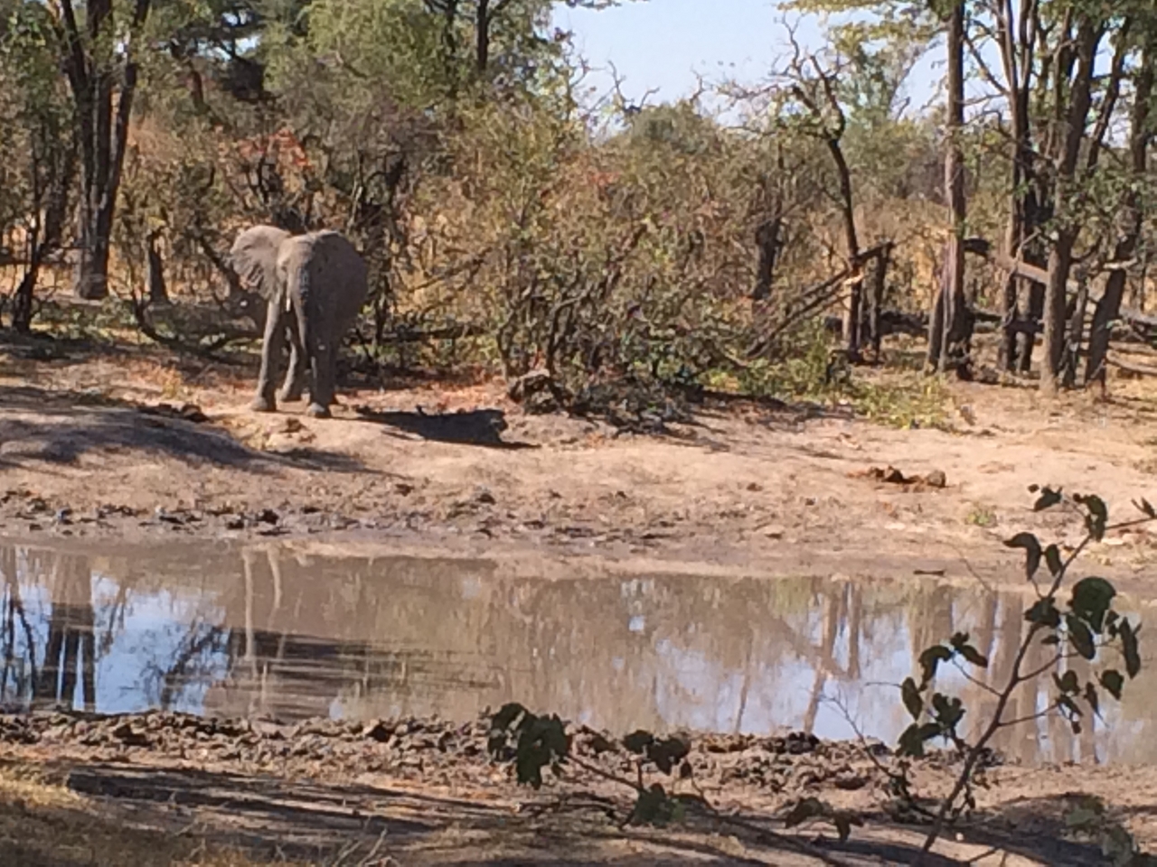 [16841] 2016_06_27_07_51_58_Africa_iPhone_5s_IMG__00709.jpg