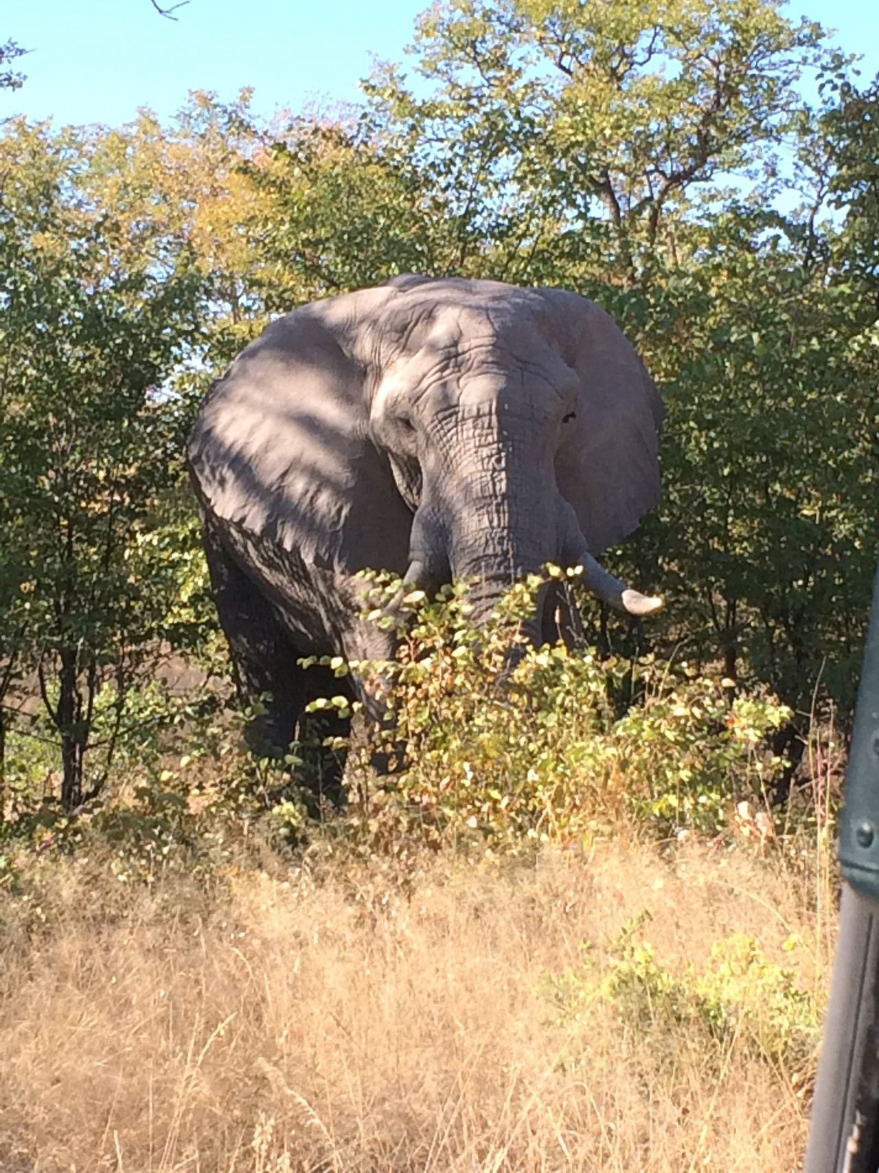 [17077] 2016_06_27_09_26_11_Africa_iPhone_5s_IMG__06337.jpg
