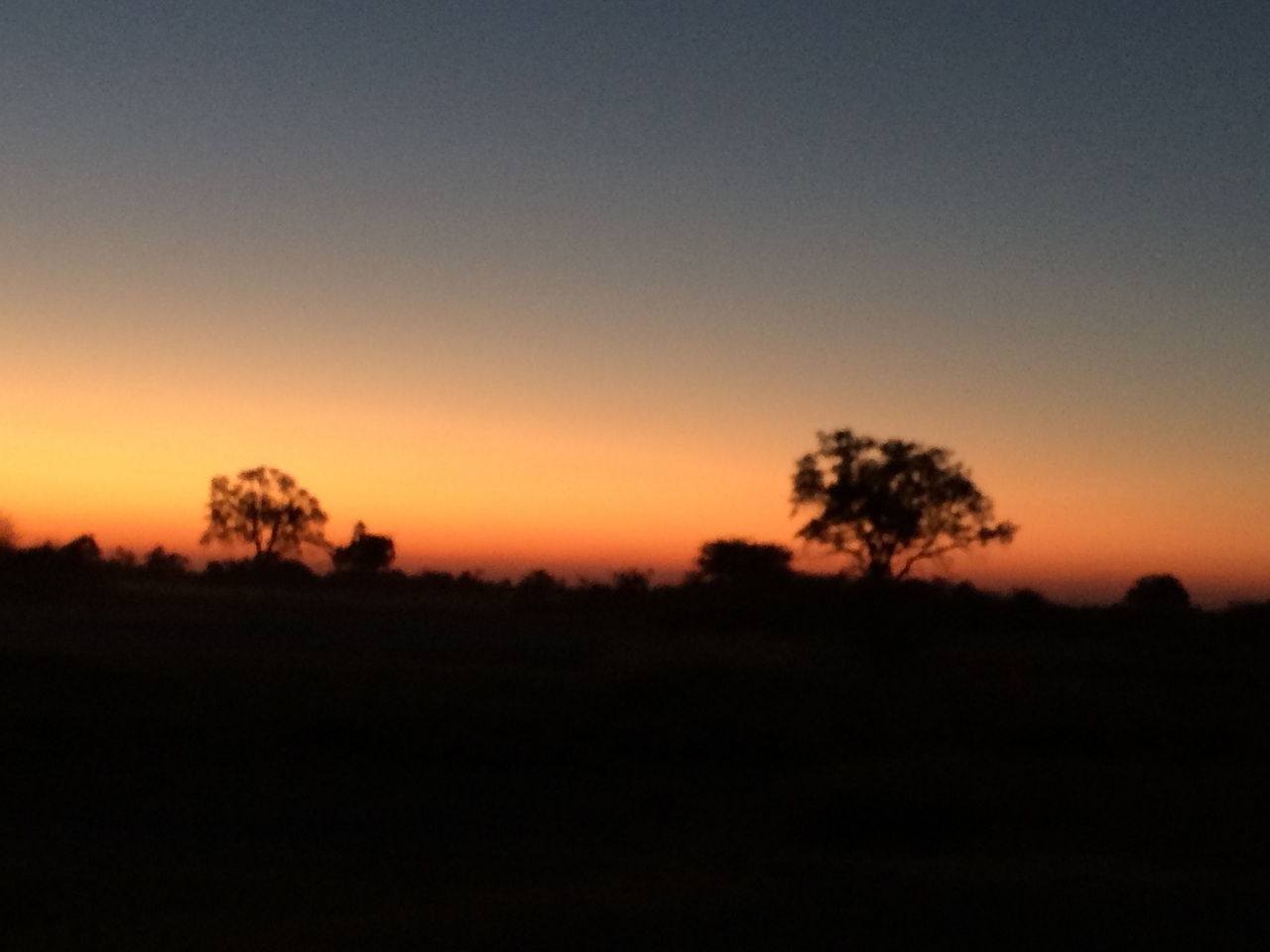 [22171] 2016_06_29_12_25_33_Africa_iPhone_5s_IMG_8521_00806.jpg