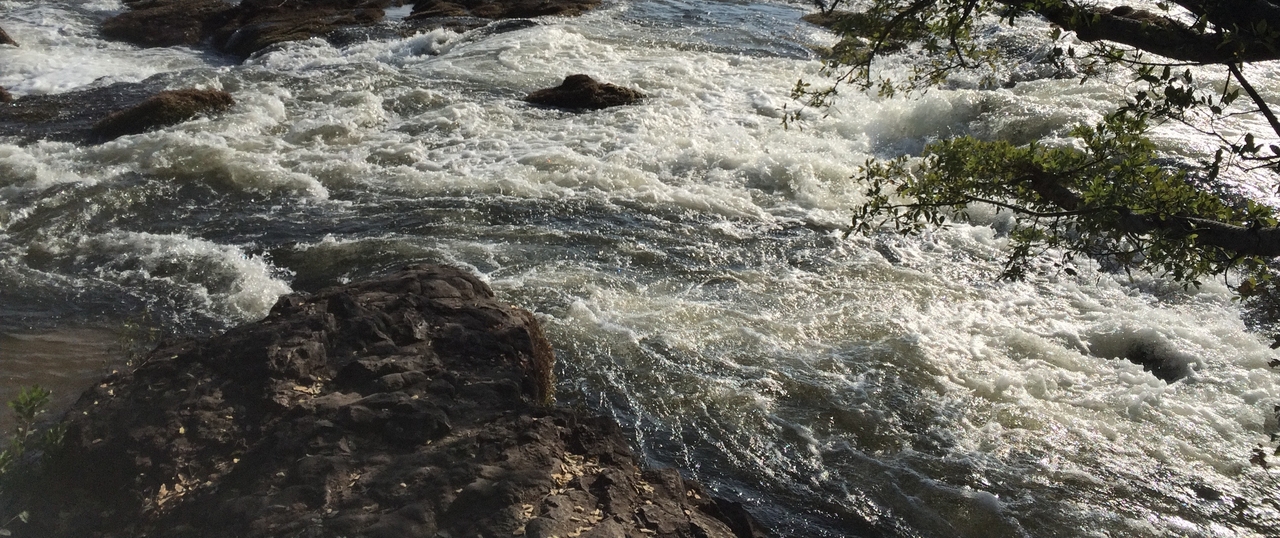 [31853] 2016_07_03_09_46_41_Africa_iPhone_5s_IMG__06468.jpg